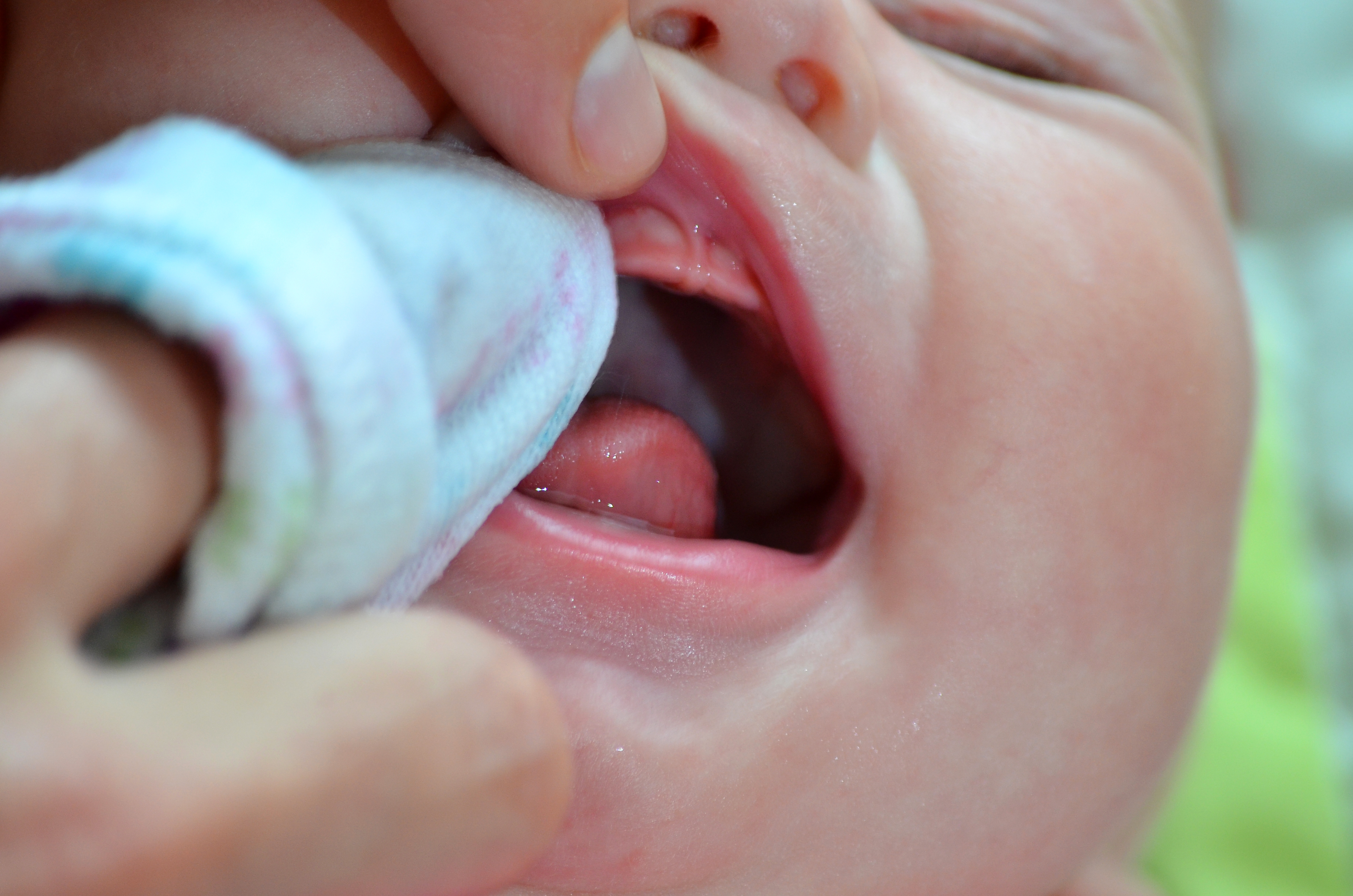 Wiping baby's teeth and gums with a soft cloth.